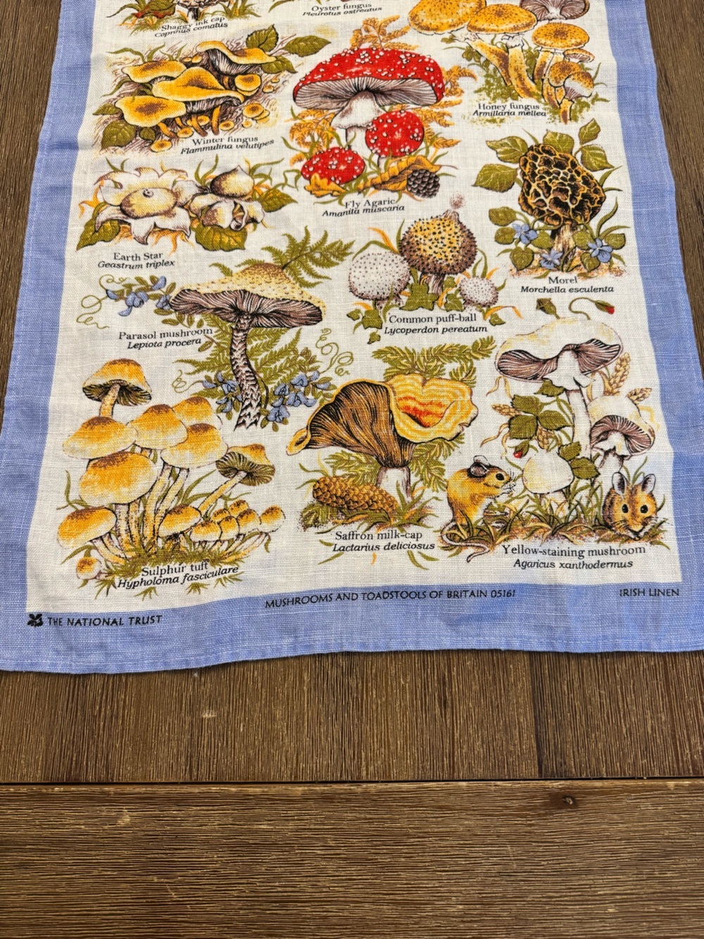 Mushrooms and toad stools of Britain 100% Irish Linen Tea Towel Kitchen Linen - Picture 2 of 5